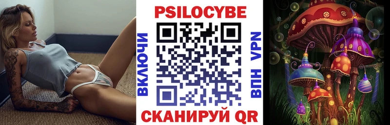 Псилоцибиновые грибы GOLDEN TEACHER  Купить  Заозёрный 
